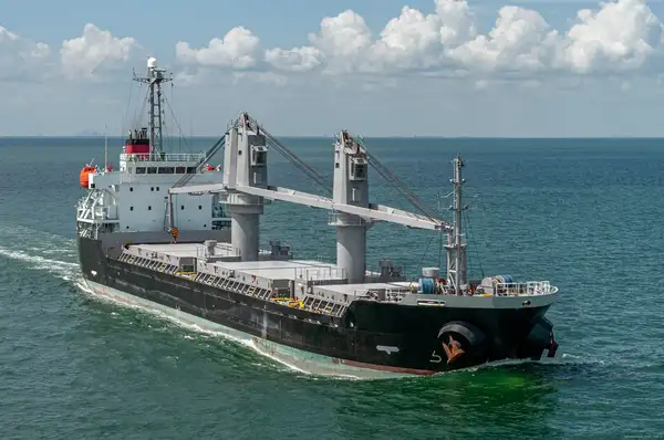 Bulk carrier for sale