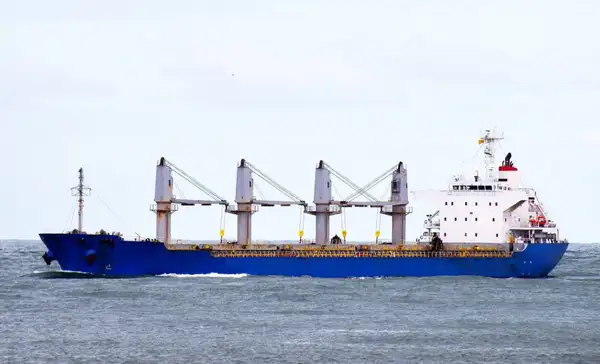 Bulk carrier for sale