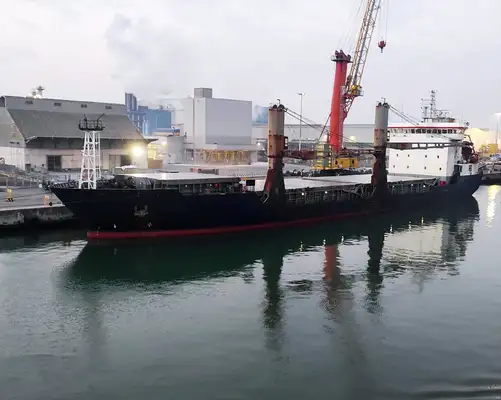 Bulk carrier for sale