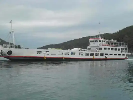 RORO ship for sale