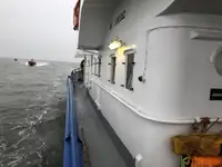 Çok amaçlı satılık