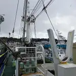seiner satılık
