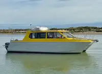 Motorlu tekne satılık