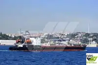 Dökme yük gemisi satılık