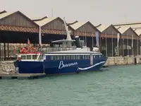 Gezi gemisi satılık