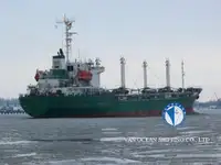 soğutuculu gemi satılık