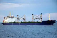 Dökme yük gemisi satılık