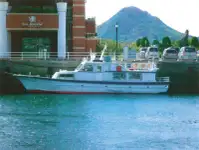 Motorlu tekne satılık