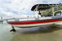 Amfibi satılık