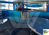 Motorlu tekne satılık