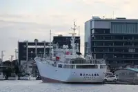 balıkçı teknesi satılık