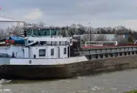 Mavna satılık