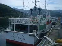 balıkçı teknesi satılık