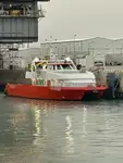 Katamaran satılık