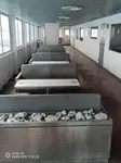 RoPax gemisi satılık