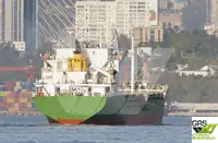 Dökme yük gemisi satılık