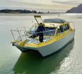 Motorlu tekne satılık