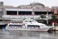 Motorlu tekne satılık