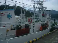 balıkçı teknesi satılık