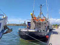 parakete gemisi satılık