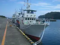 balıkçı teknesi satılık