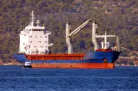 Dökme yük gemisi satılık