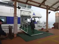 Katamaran satılık