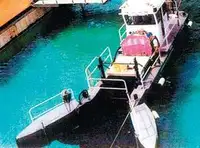 devriye botu satılık