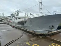 parakete gemisi satılık