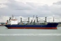 Dökme yük gemisi satılık