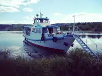 Motorlu tekne satılık