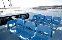 Motorlu tekne satılık