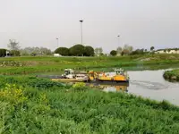 Mavna satılık