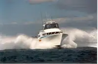 İş tekneleri satılık