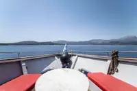 Motorlu tekne satılık