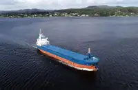 Dökme yük gemisi satılık