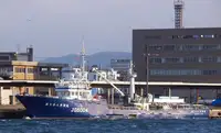 seiner satılık