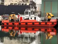 Çok amaçlı satılık