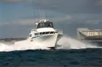 İş tekneleri satılık