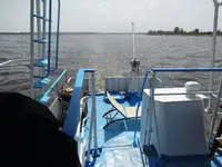 Motorlu tekne satılık